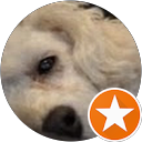 Sakina profile picture