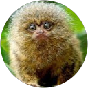 E M. profile picture