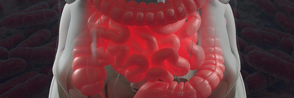 A visual representation of the intricate mechanisms within the digestive system